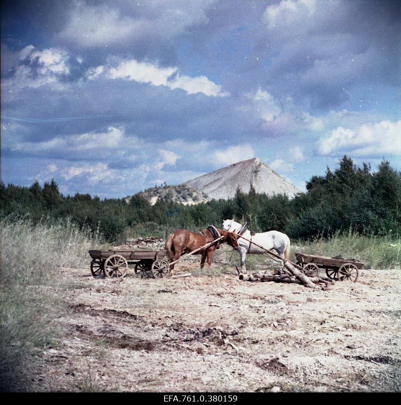 Scene from the film "Metscanners", Two horses with vans in the empty country, back in the ash mountain