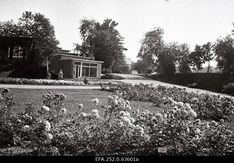 View of flower pavilion and cafe "Tuljak".