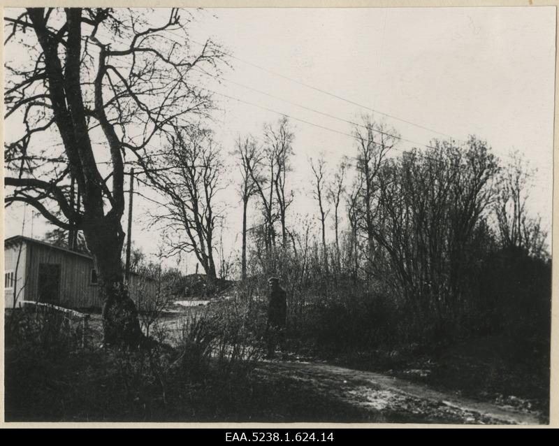Former location of the main building of the ORGITA manor, a man at the forefront