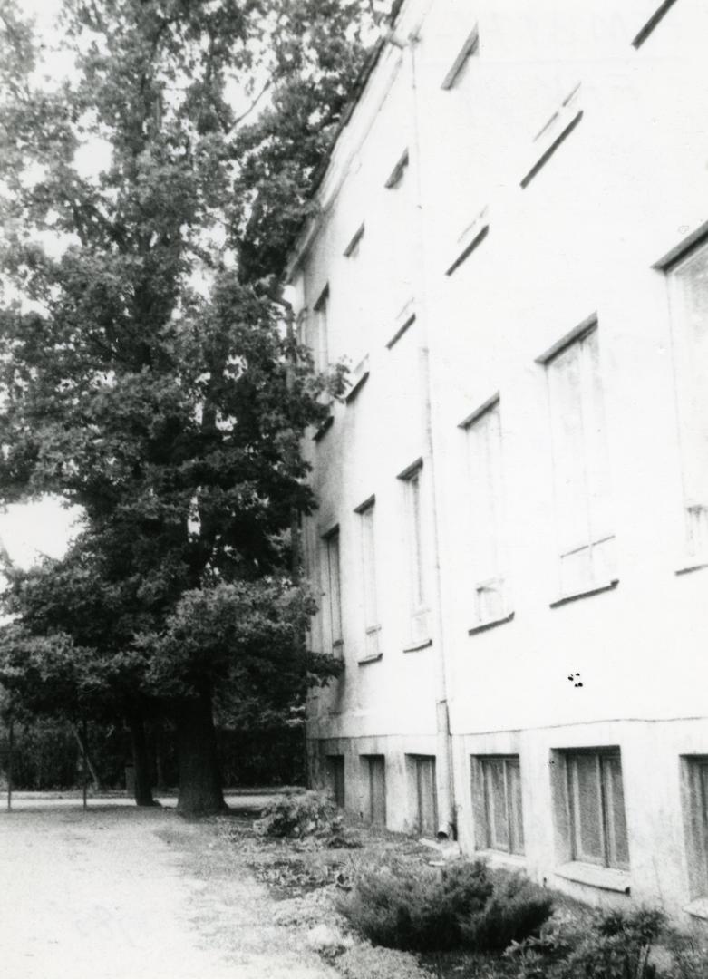 J. The oak planted around the former Võru Teacher Seminar