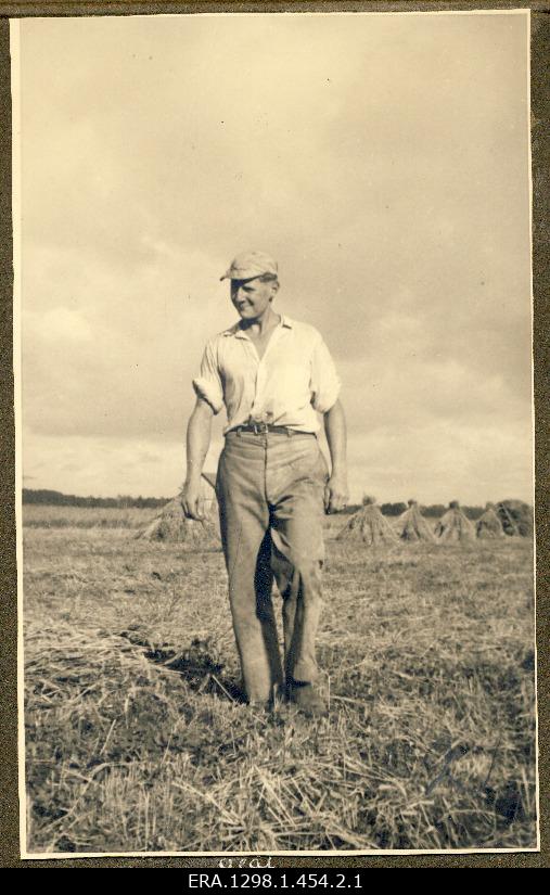 OLAF Maydell Service in Crop Farm