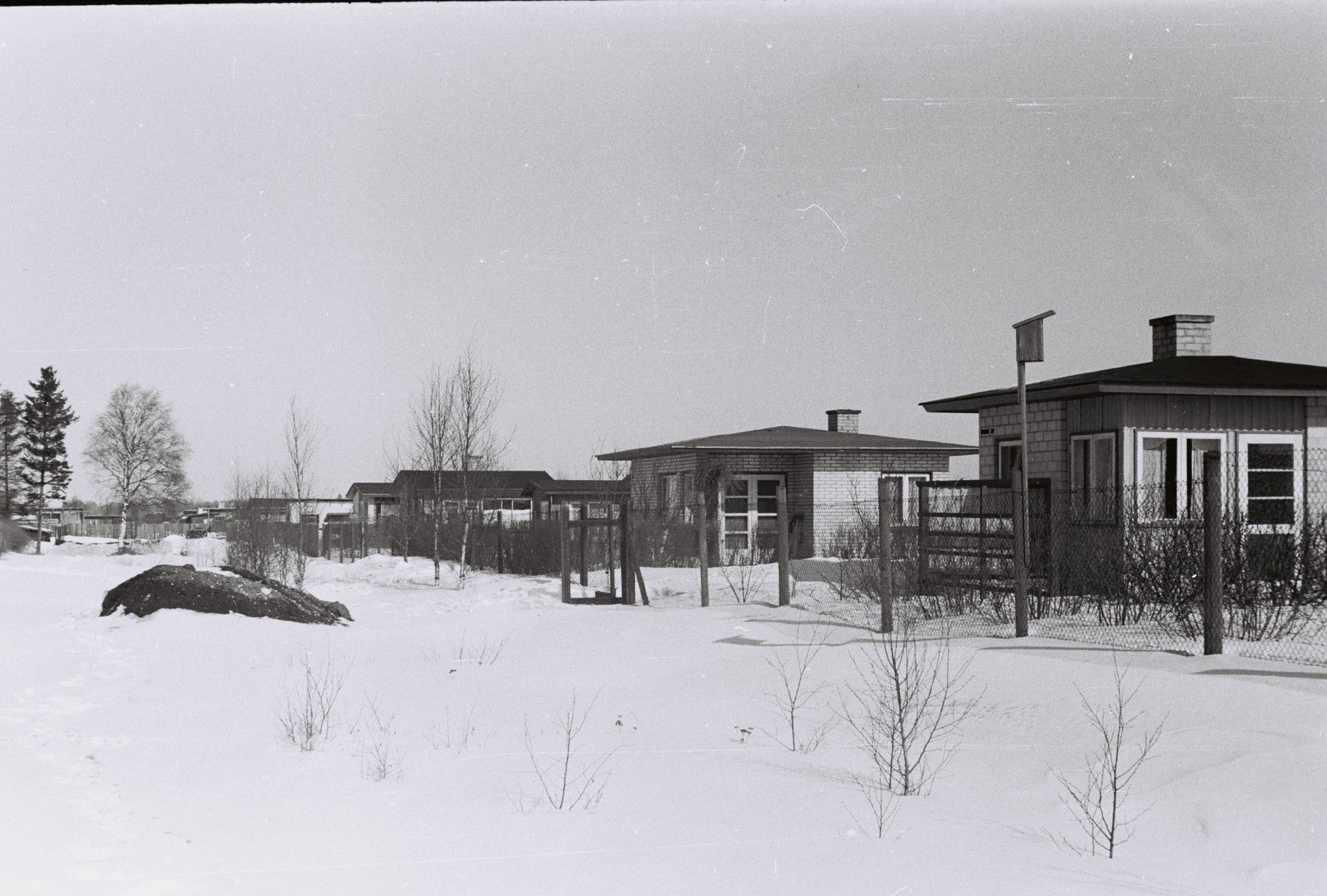 Muuga Garden City, Lupiini tee, beginning of the 1960s