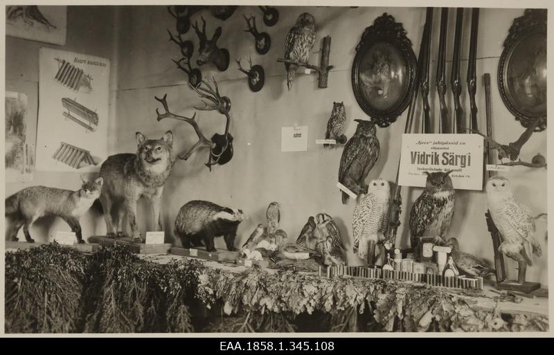 Vidrik Särg´i laskeriistade äri väljapanek ja jahitrofeed (topised, sarved)Tartus näitusel