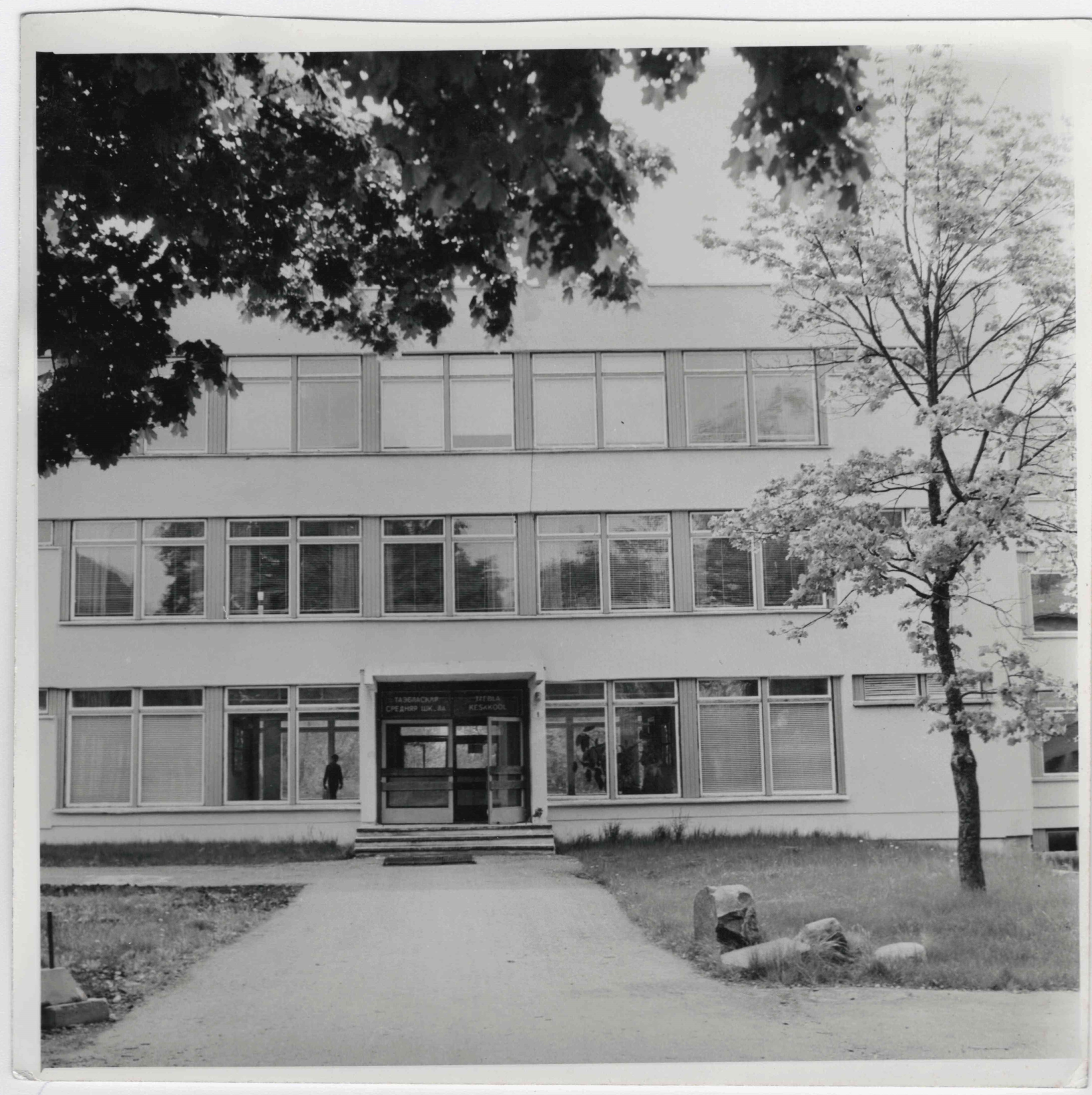 Taebla School