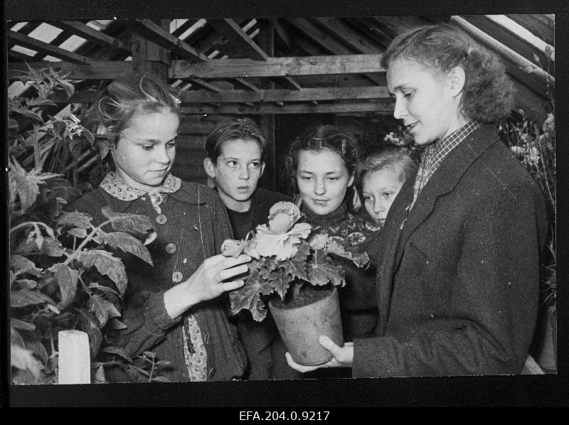Biology Hour in the greenhouse, Käina School Class 7. 1956.