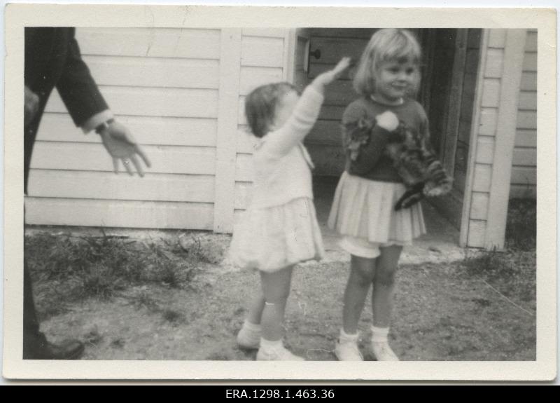Little girls with cat in the house courtyard