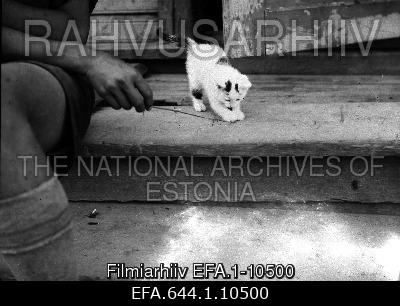 Member of Tallinn Skautide Maleva, photographer Ivar Paalmann with his fellows on the wheelchair. Cat son.