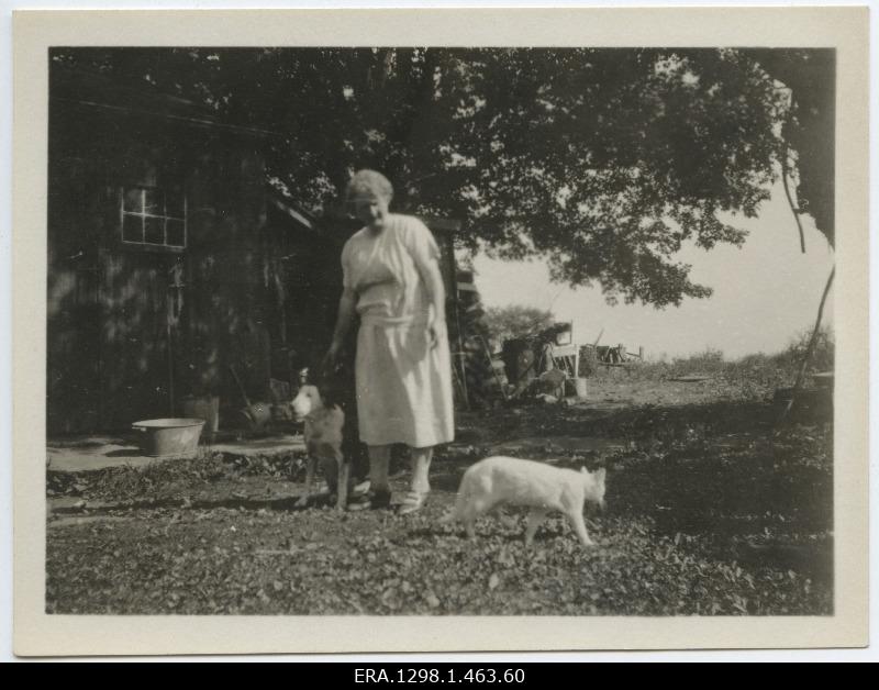 Unknown lady cat and dog in the courtyard