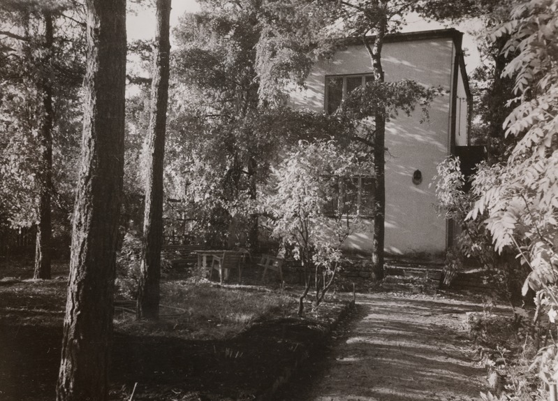 Vaade elamule suvises roheluses