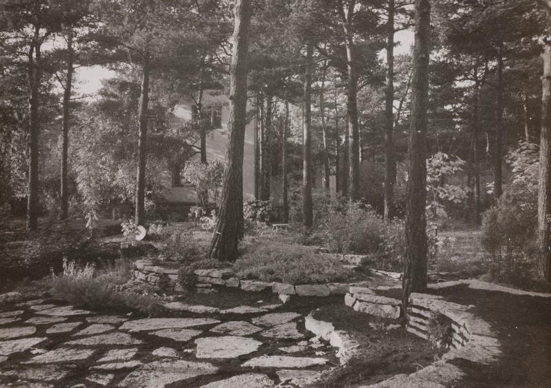 Vaade elamule suvises roheluses