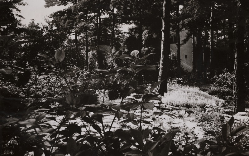 Vaade elamule suvises roheluses