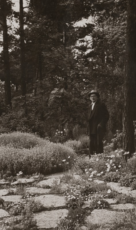 Friedebert Tuglas kiviktaimlas