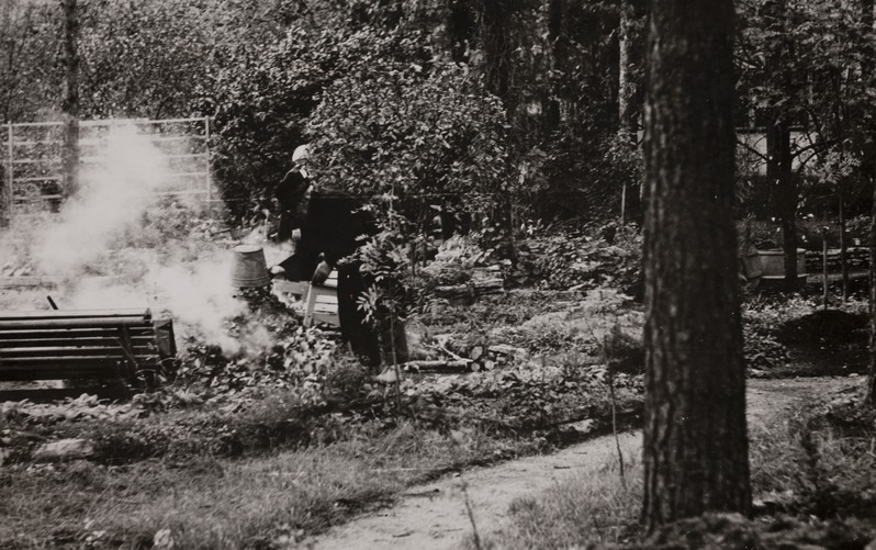 Friedebert Tuglas aias lõket kohendamas