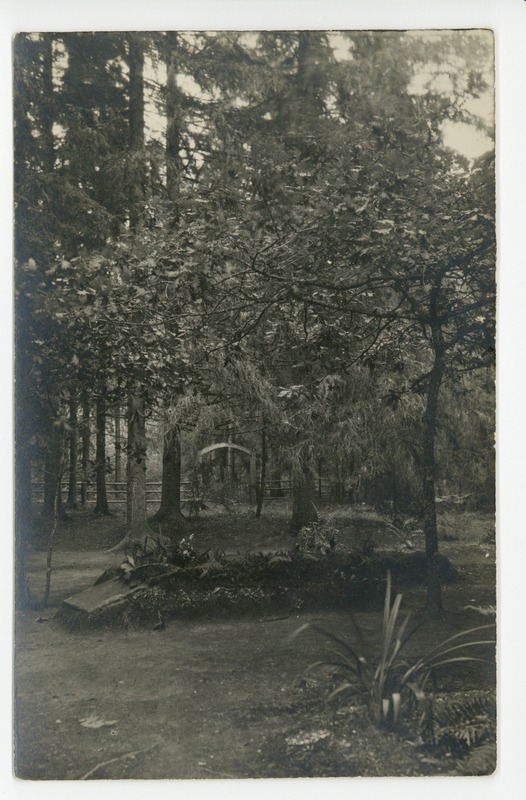 Carl Robert Jakobsoni haud Kurgjal