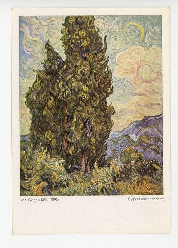 Cypresses