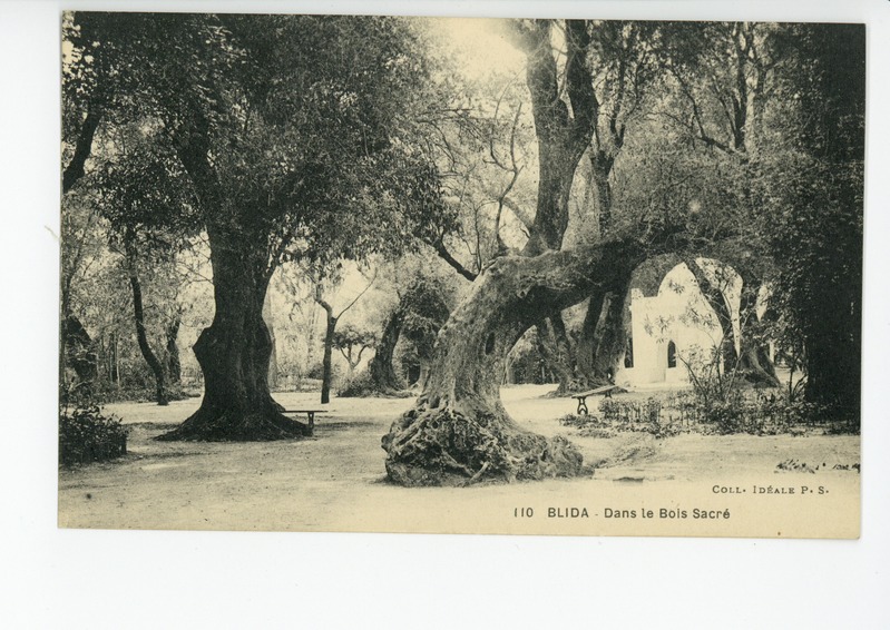 Blida