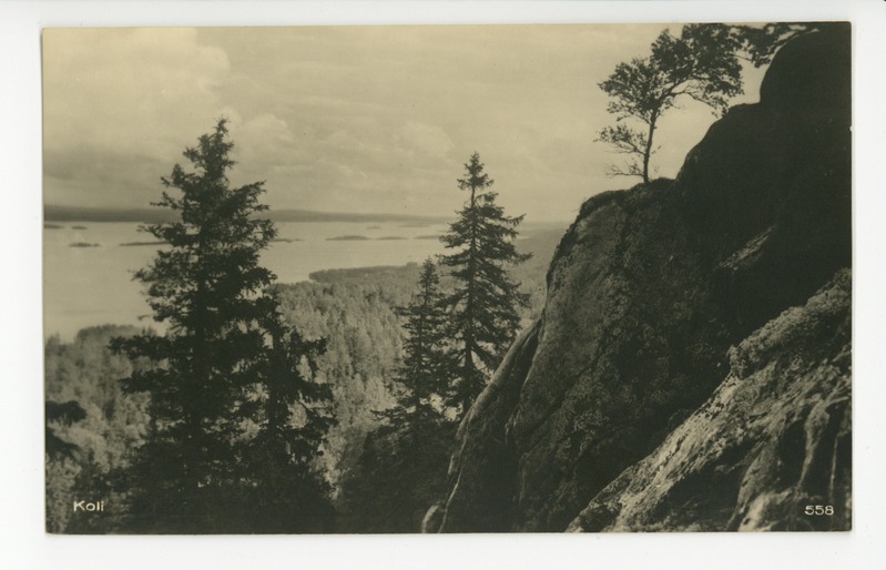 Koli