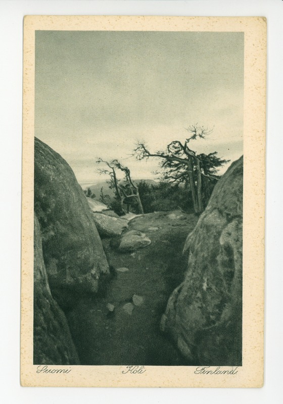Koli