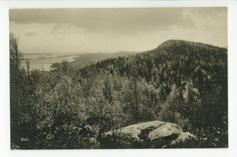 Koli
