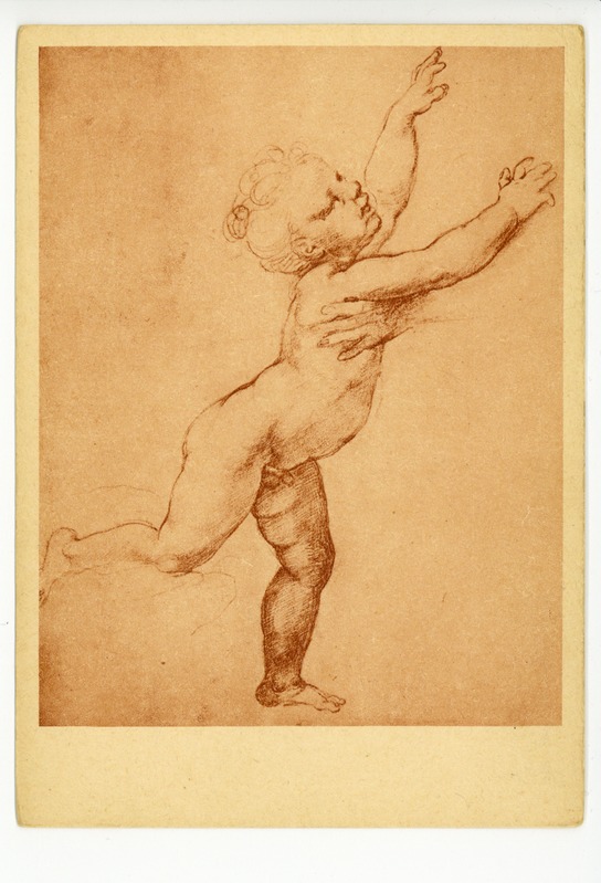 Raffael (1483-1520) Kinderstudie