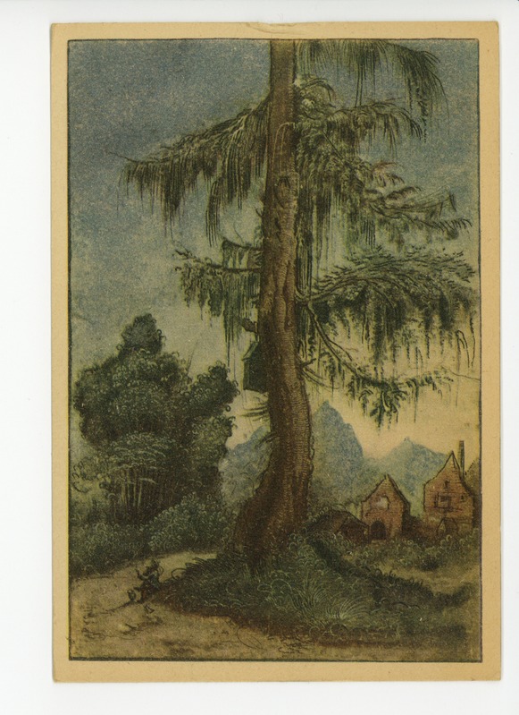 Albrecht Altdorfer (1480–1538), Landschaft mit Fichte, um 1522