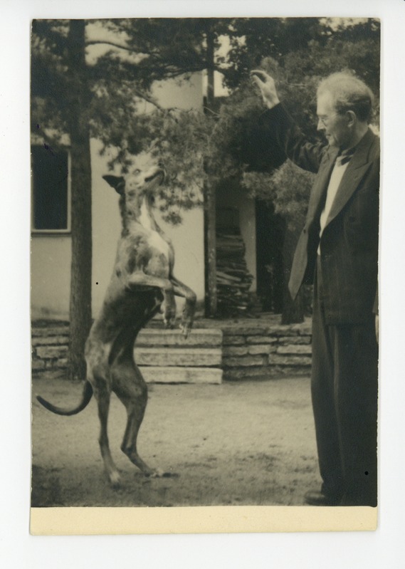 Friedebert Tuglase ees aias tagajalgadele tõusnud koer Darling
