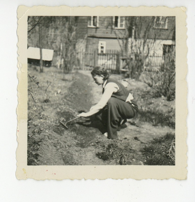 Elo Tuglas tööl Tallinna tänav 16 aias, umbes 1936