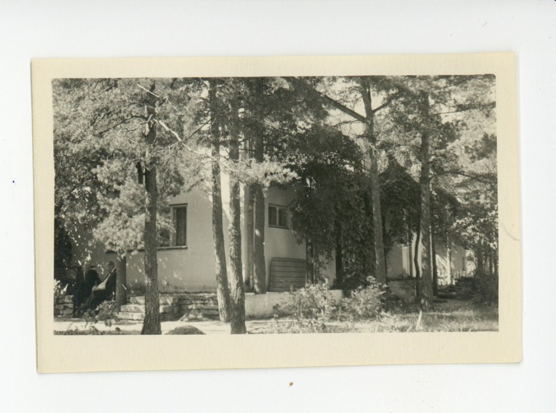 Vaade aeda majaga tagaplaanil, 1956