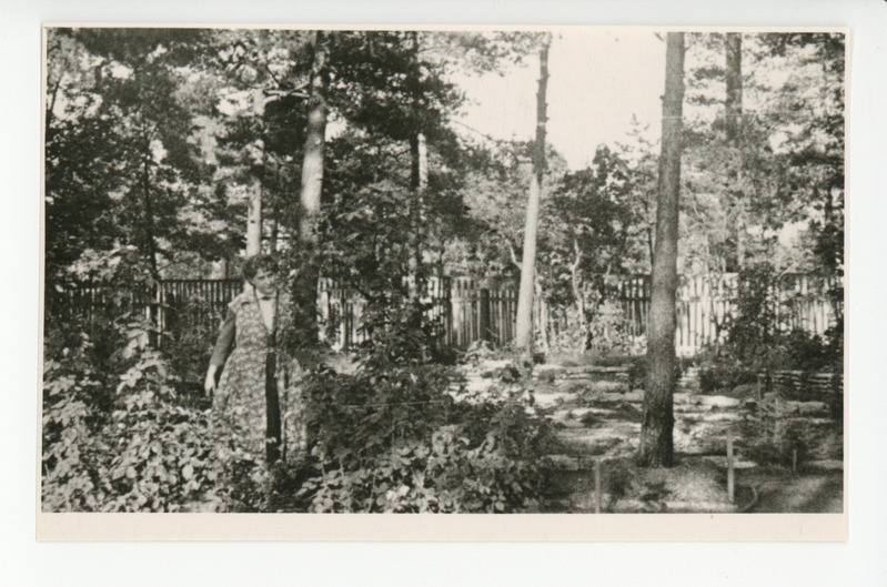 Elo Tuglas aias, 1960