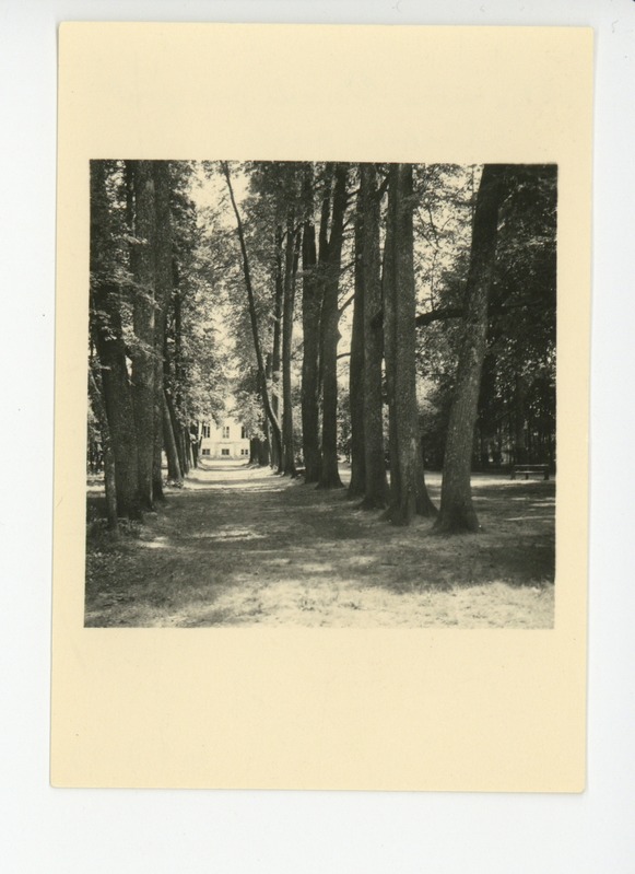 Ahja mõisa vaade pargist häärberi poole, 07.1938