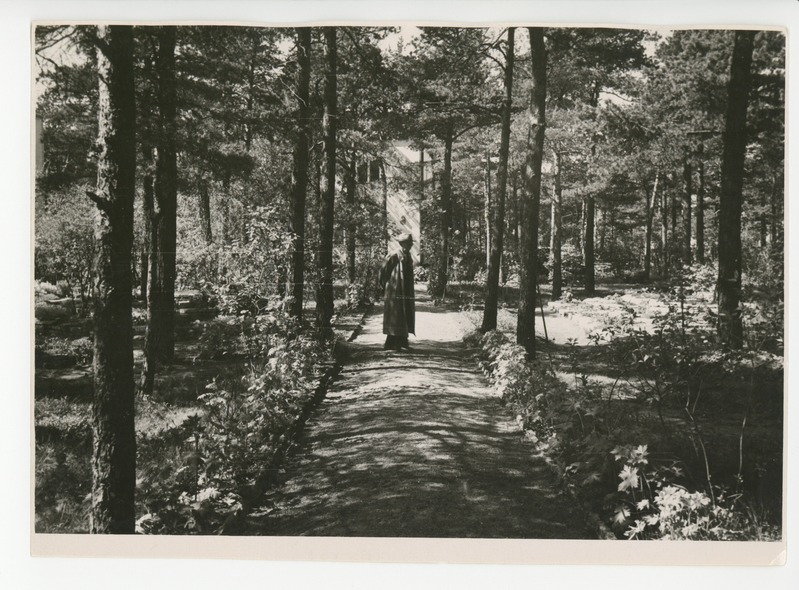 Friedebert Tuglas aias jalutamas, 1959
