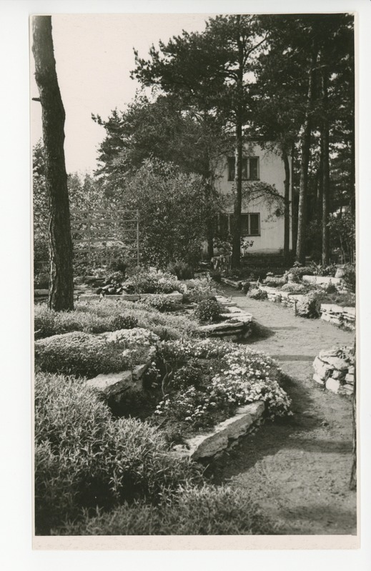 Vaade aiale kiviktaimlaga