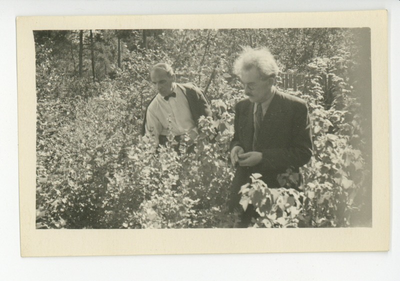 Friedebert Tuglas ja Johannes Semper aias, 1948