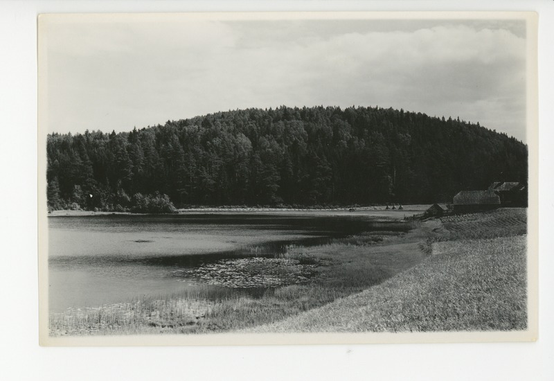 Vällamägi Haanjas, 1939