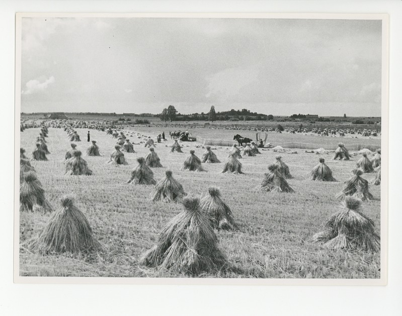 Otepää maastik, 1939