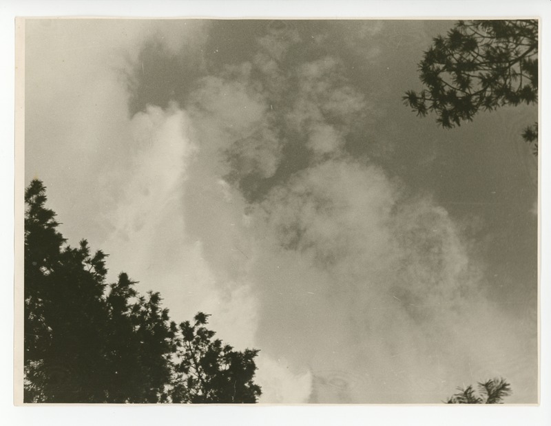 Pilved ja männiladvad