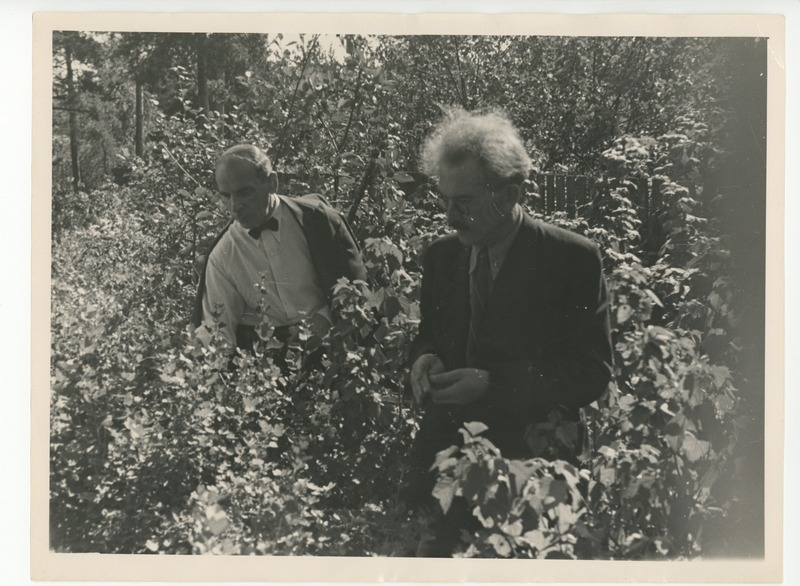 Johannes Semper Friedebert Tuglasega suvises aias