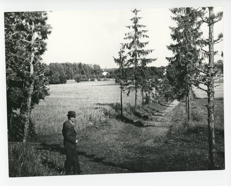 Friedebert Tuglas Ahjal Härravariku teel, 1938