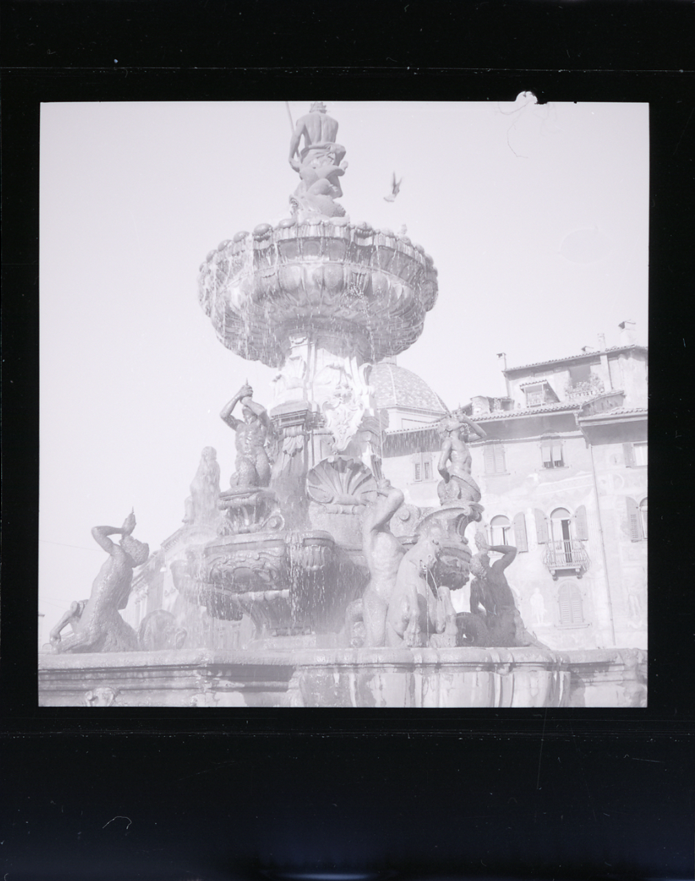Servizio fotografico (Trento, 1962) - lang