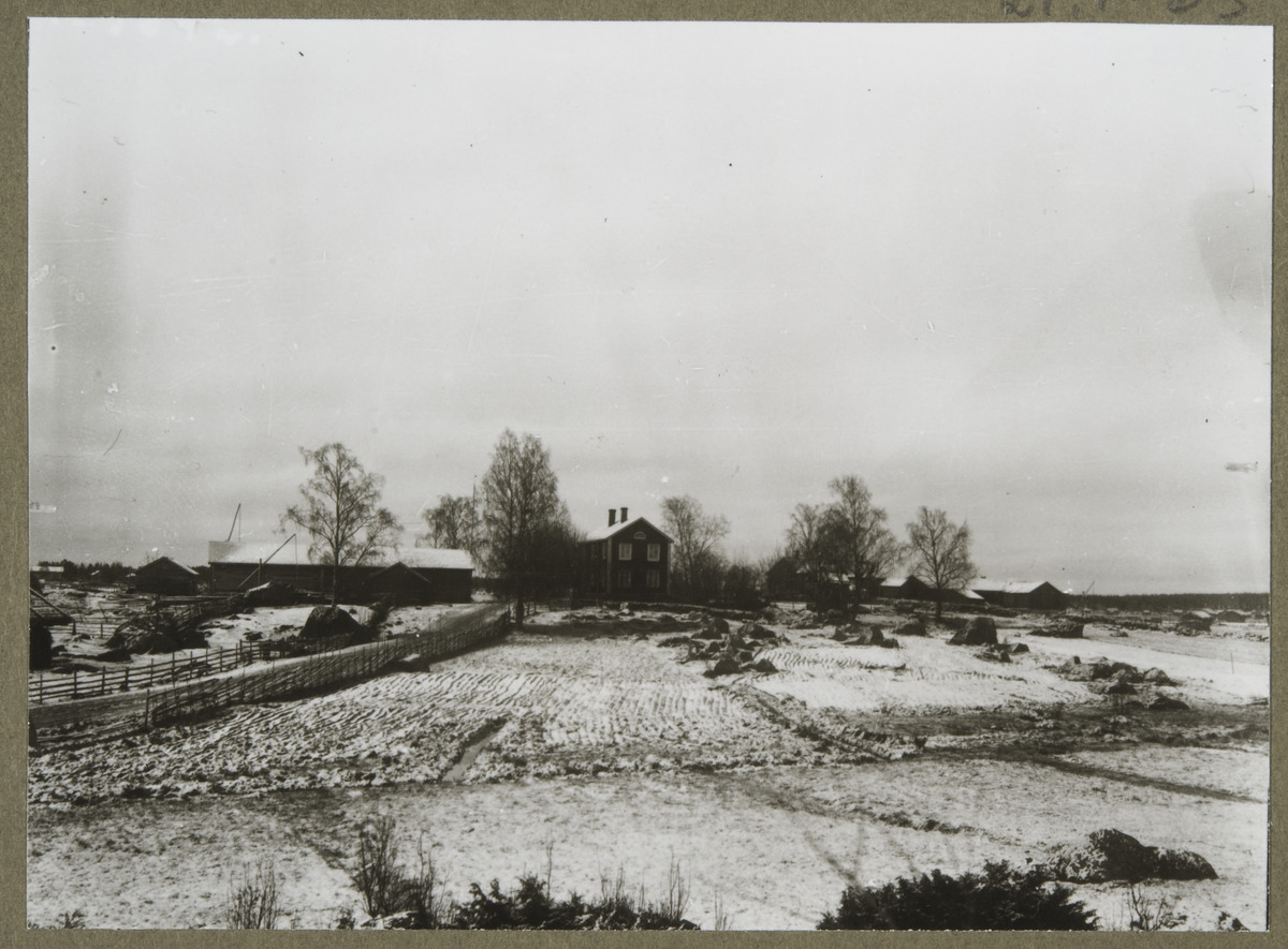 New snow on the fields, behind residential and economic buildings