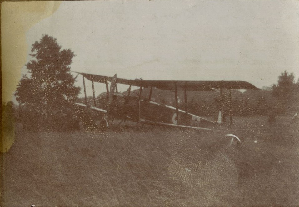 Avro 504 bi-plane in the grass surrounded by trees.