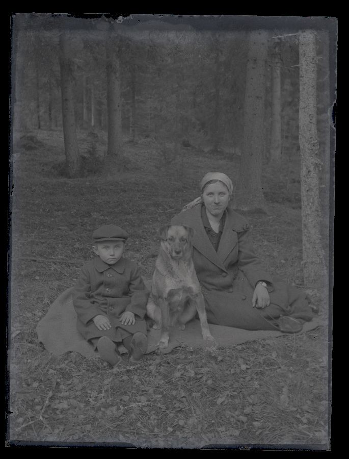 Naine, väike poiss ja koer istuvad tekil, pildistatud metsas.