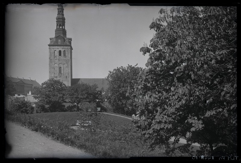Tallinn. Vaade Niguliste kirikule Harjumäelt