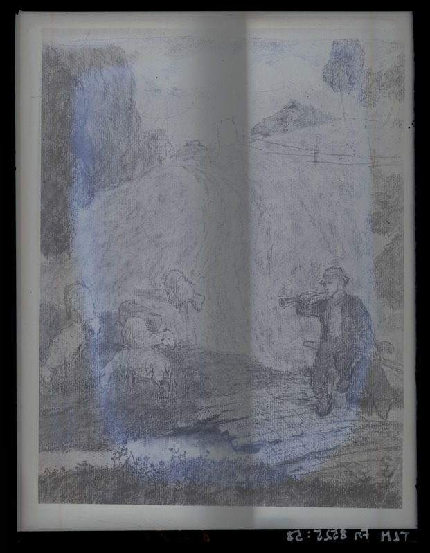 K. Raud (?), pliiatsijoonistus lambakarjusest, umbes 1886. aastast.