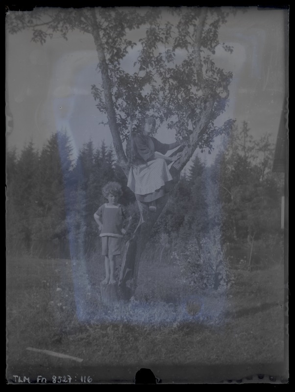 Naine ja laps puu otsas, 1920-ndad aastad.