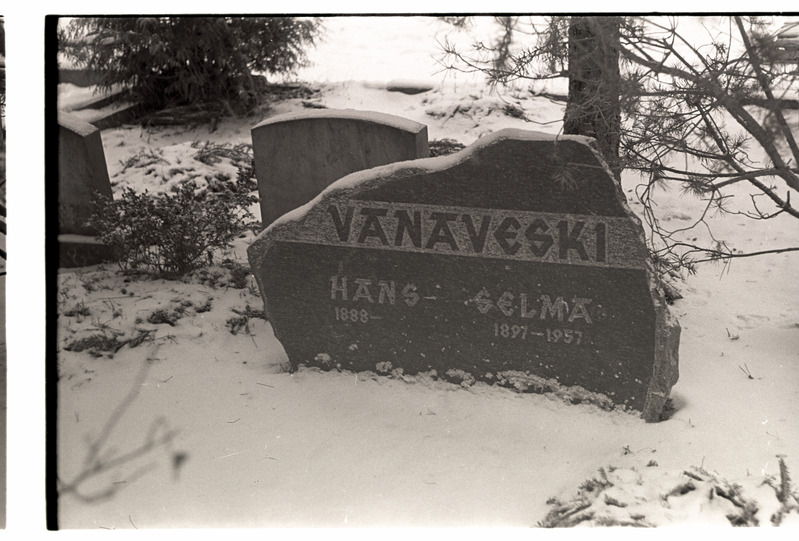Perekond Vanaveski hauakivi