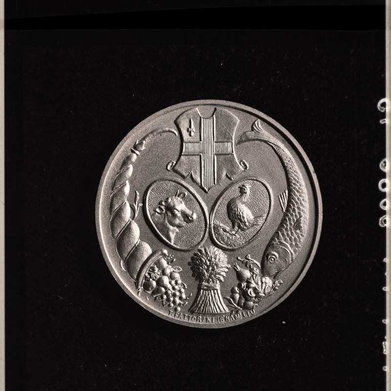 Medal TLM 18367