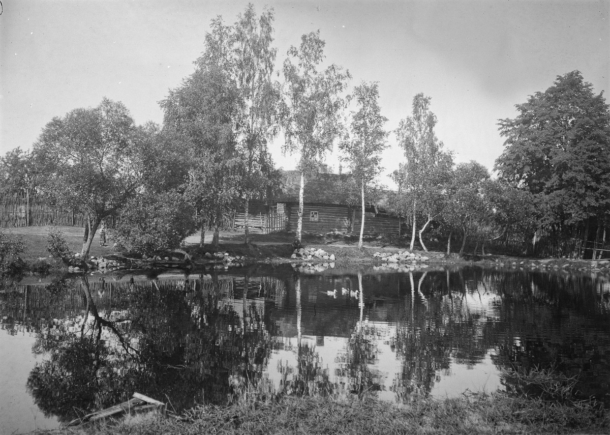 The house on the shore of lamb