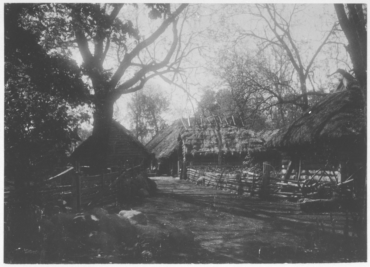 Village on the island of Ruhnu