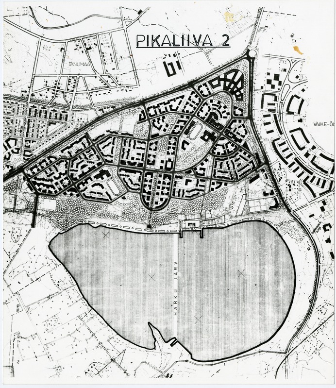 Pikaliiva elamurajoon, eskiisprojekt